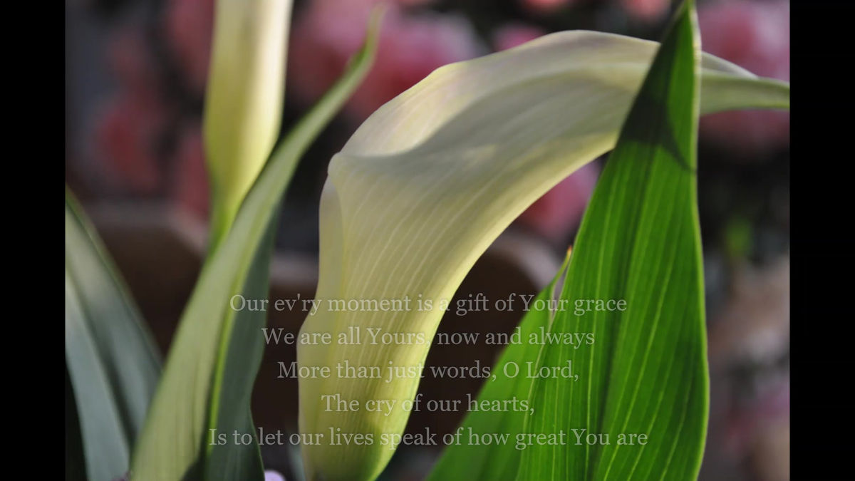 Live To Worship